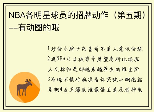 NBA各明星球员的招牌动作（第五期）--有动图的哦